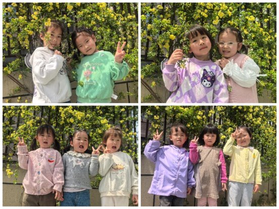 Collage_20250416_080117