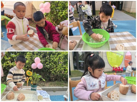 Collage_20251023_203006