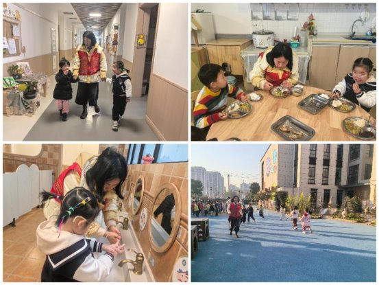 Collage_20251121_133414