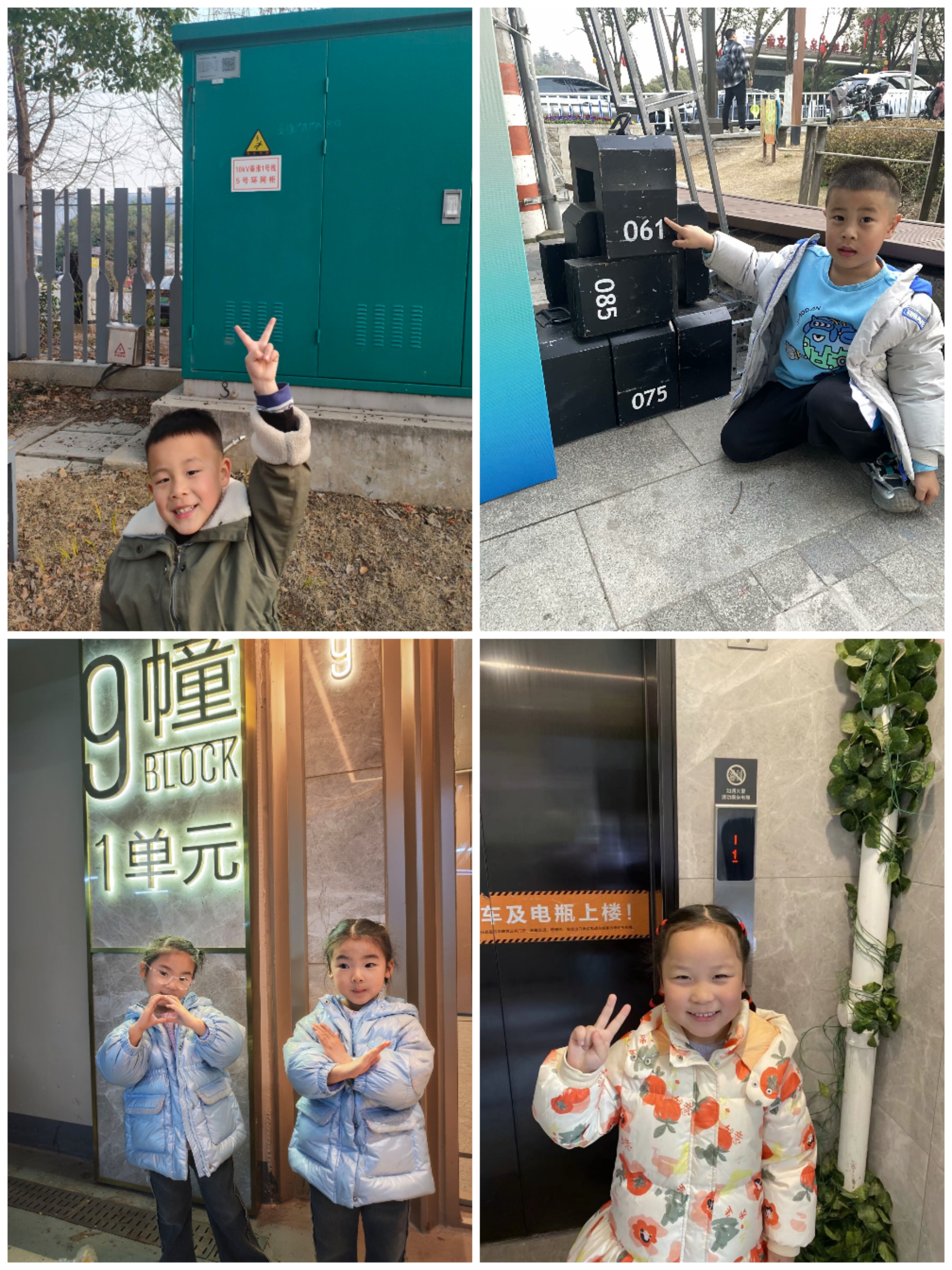 Collage_20250325_124812.jpg