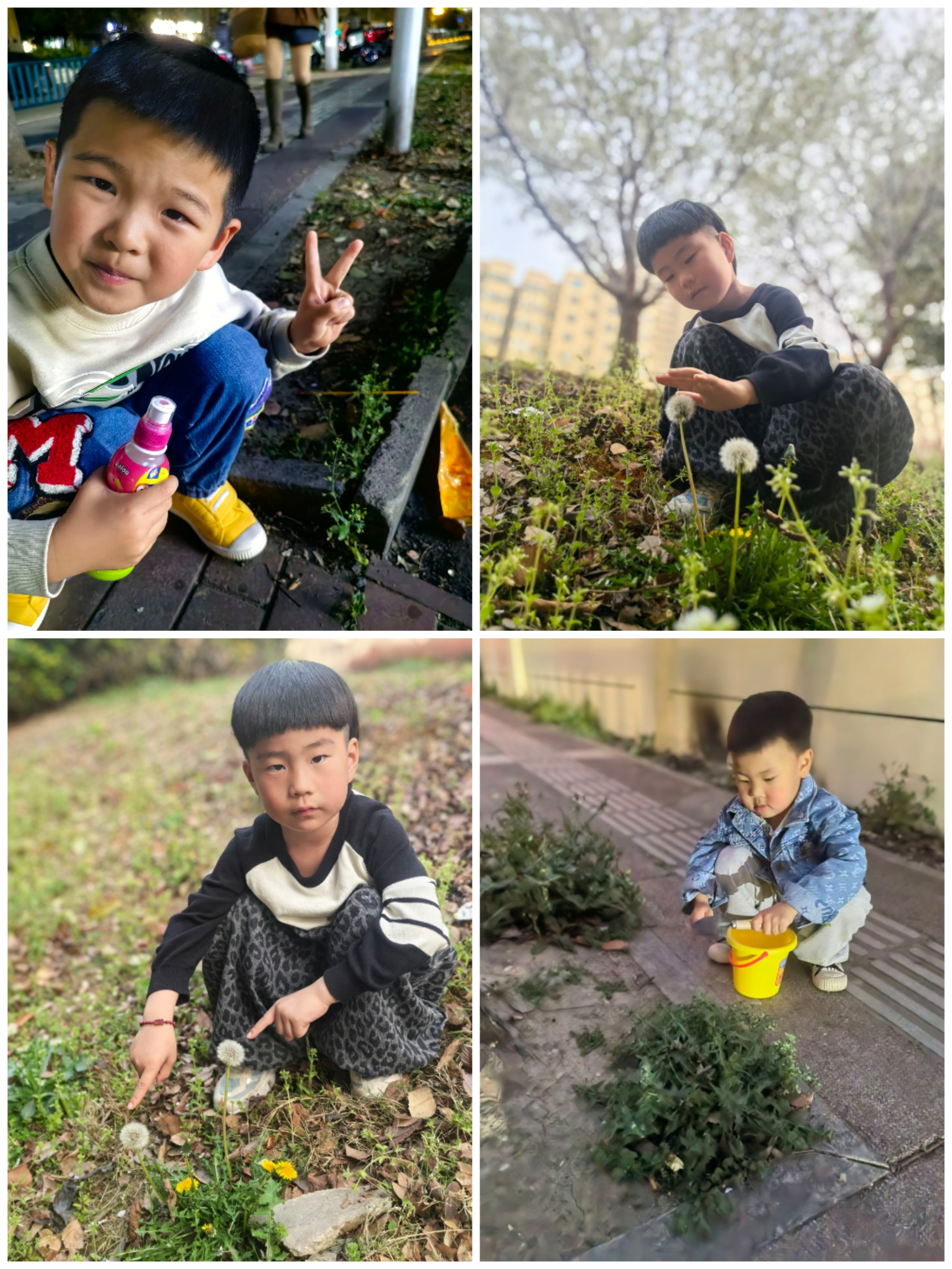 Collage_20250325_130058.jpg
