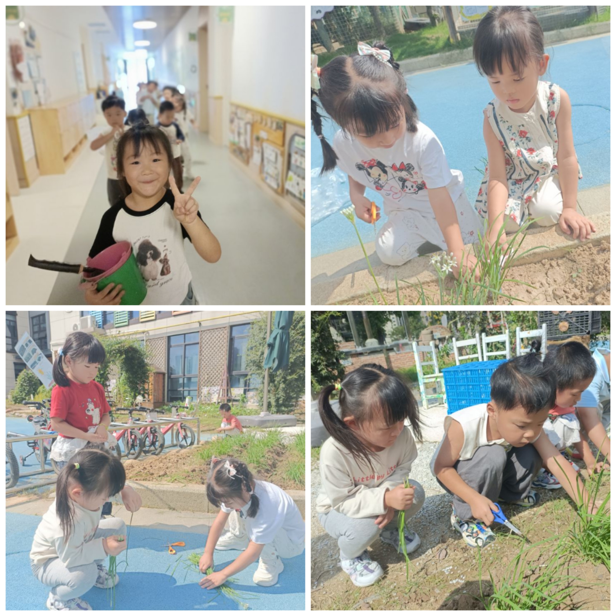 Collage_20251013_135521.jpg